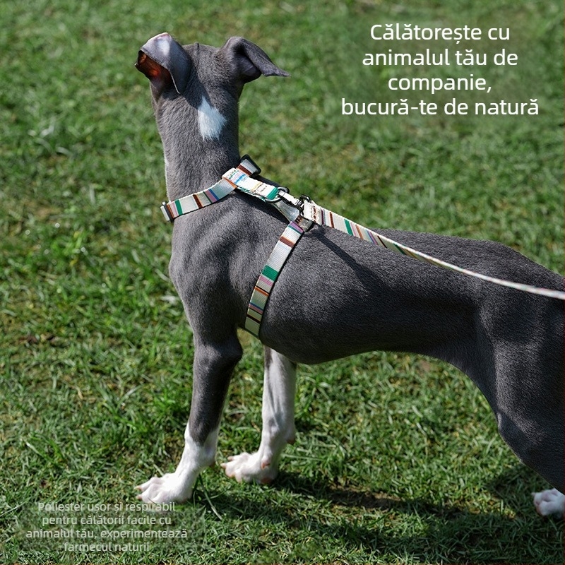 Lesă pentru câini în formă I, reglabilă, anti-ruptură, în stil vestă, pentru câini de talie mică; materiale: poliester, rășină poliacetală, aliaj de zinc