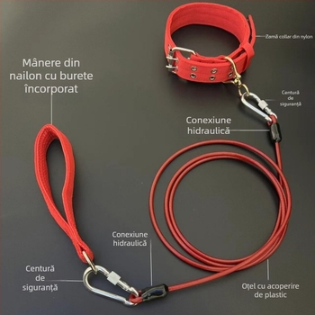 Lesa pentru câini cu lanț metalic, anti-mușcă, neretractabil, accesoriu