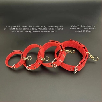 Lesa pentru câini cu lanț metalic, anti-mușcă, neretractabil, accesoriu