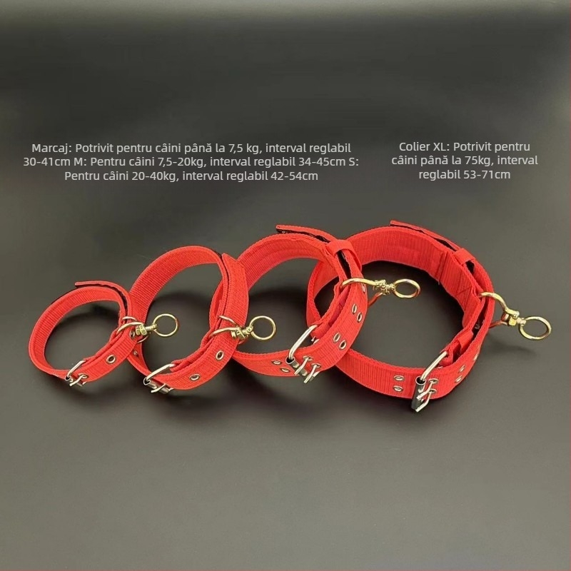 Lesa pentru câini cu lanț metalic, anti-mușcă, neretractabil, accesoriu