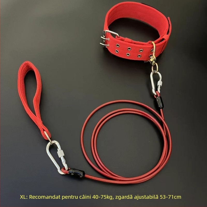 Lesa pentru câini cu lanț metalic, anti-mușcă, neretractabil, accesoriu