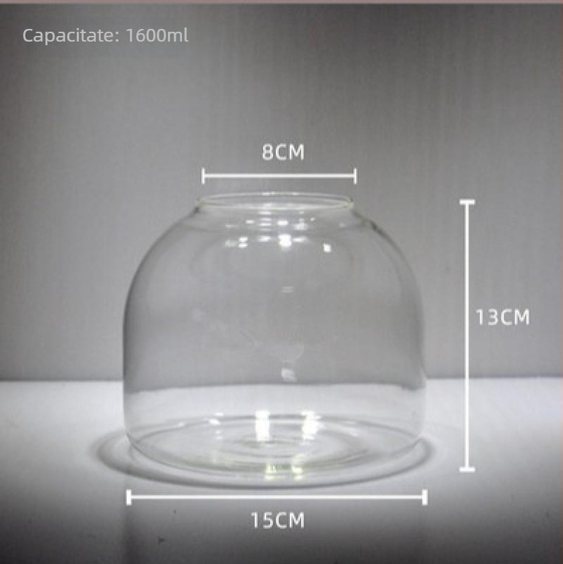 Sticlă borosilicat înaltă pentru micro peisaj cu acvariu și ghiveci hidroponic, expunere pe masă, ambalaj carton, neimportat