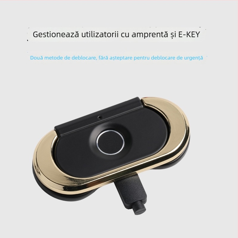 Încuietoare cu amprentă pentru sertar, cu mâner, model F182, din aliaj zinc-aluminiu, marcă Qidots, potrivită pentru garderobă, sertare, dulap pentru încălțăminte, dulap de fișiere, locker, sală de sport