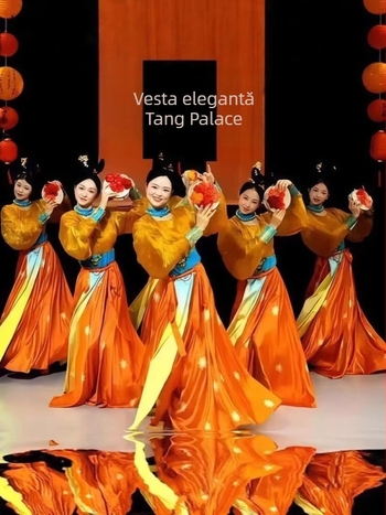 Rochie de dans în stil chinezesc din Dinastia Tang, broderie, țesătură Modal cu amestec păr de iepure și poliester, fustă amplă