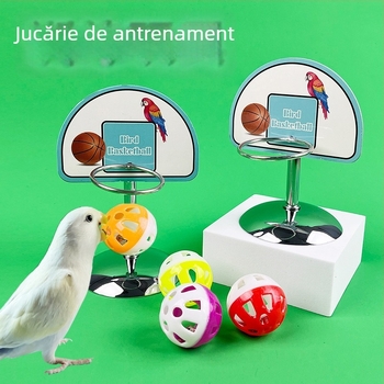 Jucărie de antrenament pentru papagali — suport metalic pentru baschet, din oțel inoxidabil, origine Shandong, marcă Happy Parrot, fără a fi importat.