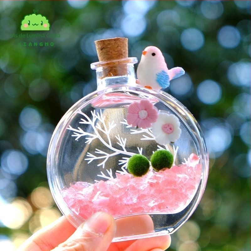 Sticluță de parfum – terariu ecologic cu bilă de alge, peisaj mini de birou, set de plante hidroponice pentru interior (Material: Alte; Brand: Alte; Importat: Nu; Cadou: Nu)