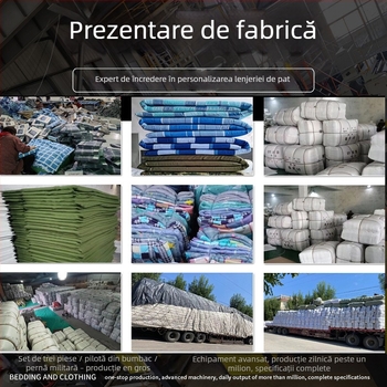 Set de lenjerie de pat din bumbac, trei piese, model în dungI, imprimare și vopsire reactive, țesătură simplă, stil modern minimalist