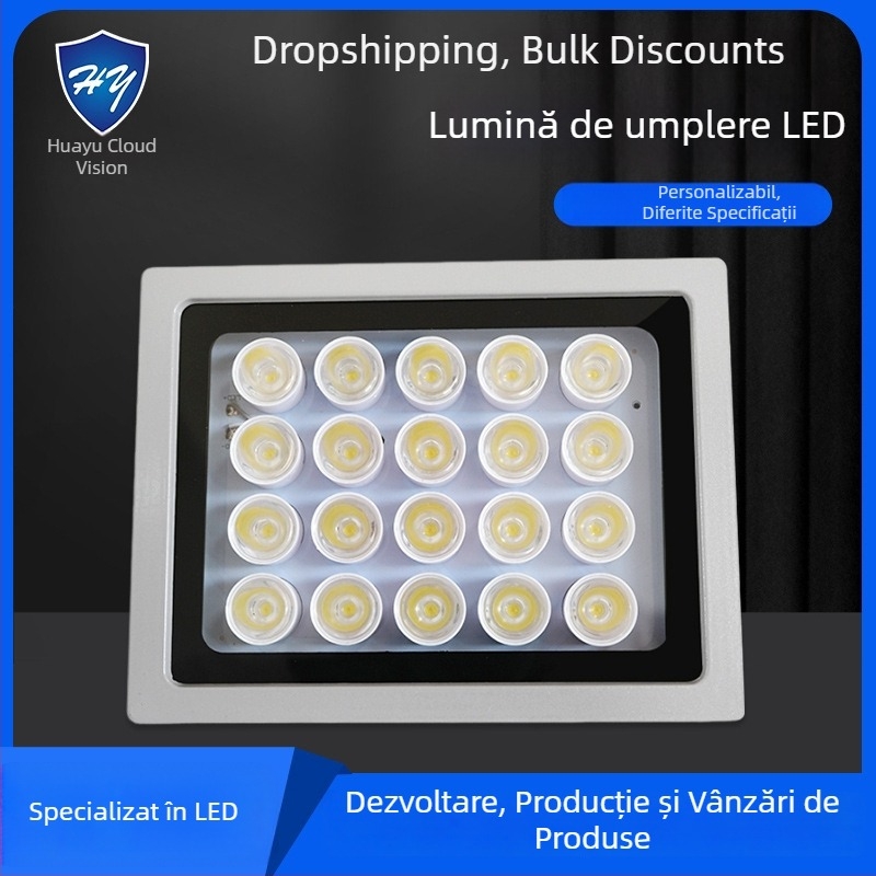 Lumină LED pentru camere de supraveghere pentru drumuri și parcări — IP66, 12V/AC24V/AC220V, 15–100W, 2400–4200 lm