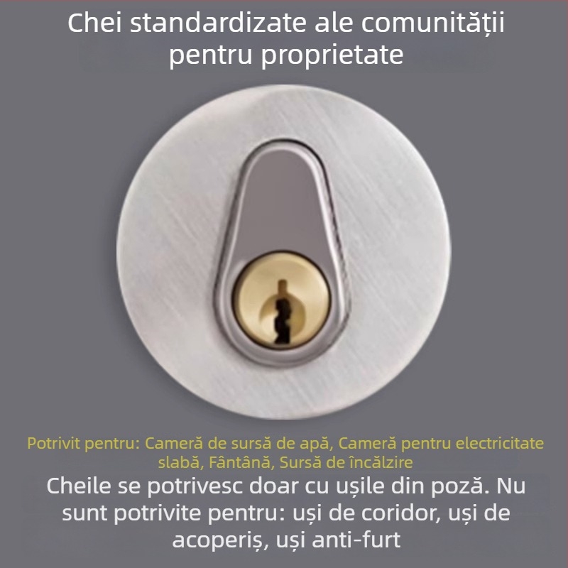 Cheie TYYS, Neck Strength – cheie universală pentru cilindrii de încuire, design modern minimalist