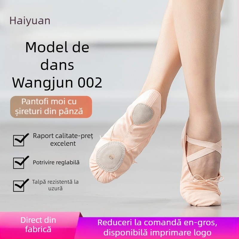 Pantofi de dans cu șireturi pentru balet, cu partea superioară din pânză, talpă din piele, respirabili și ușori, pentru copii