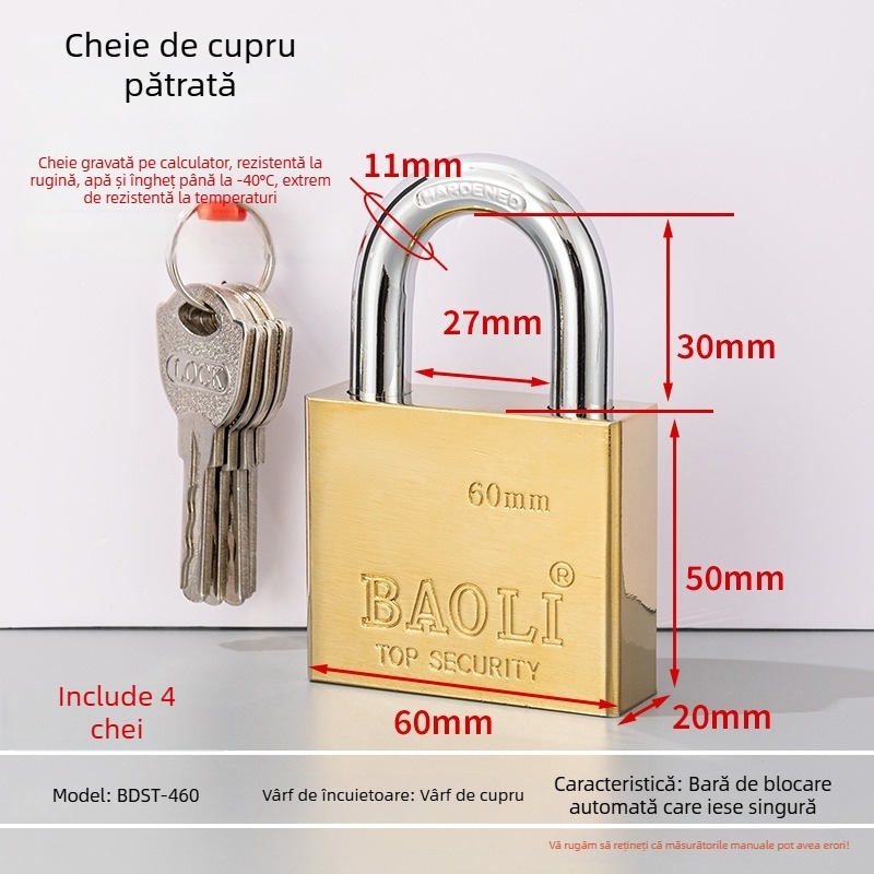 Lacăt de siguranță Type C, corp din fier, BAOLI, stil lux
