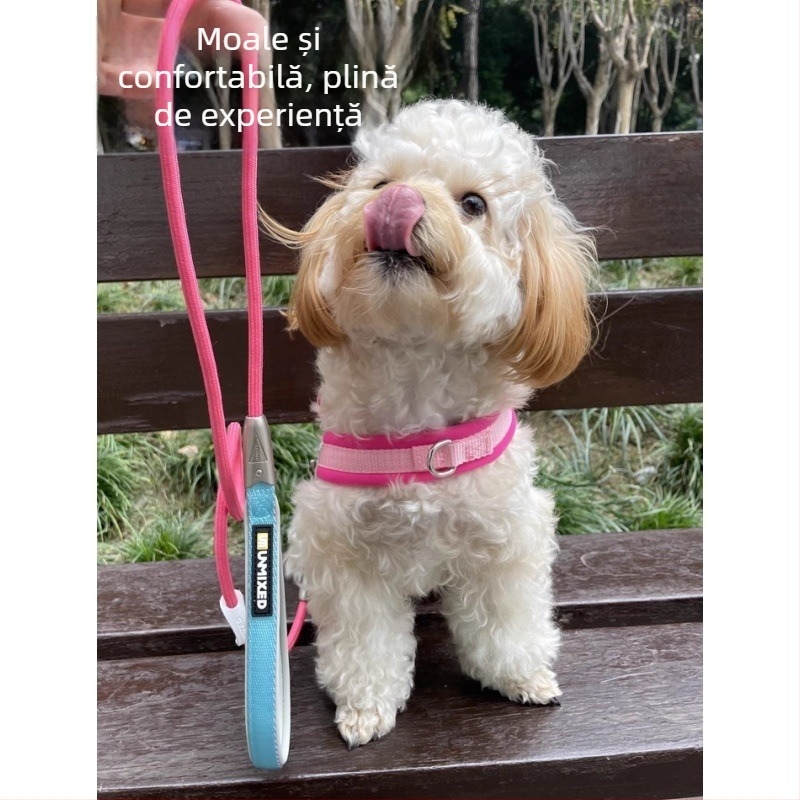 Set lesă și ham pentru câini | Poliester, Origine: Zhejiang, Categorie: hamuri pentru animale de companie, Brand: UNMIXED, Ambalare: 50 buc