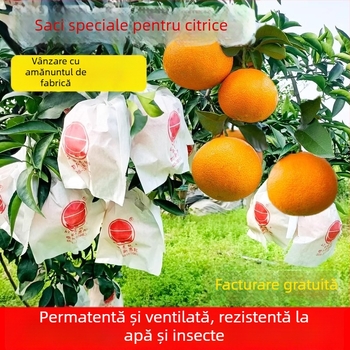 Geantă pentru ambalarea citrice — protecție împotriva insectelor și păsărilor; tip: pungă de plantare/eco/protecție pe pantă; scop: pungă pentru citrice; marcă: Altă; import: Nu