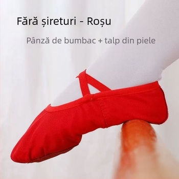 Art Dance Flower Pantofi de balet moi pentru copii - partea superioară din pânză, design în formă de labă de pisică, pentru dans de practică
