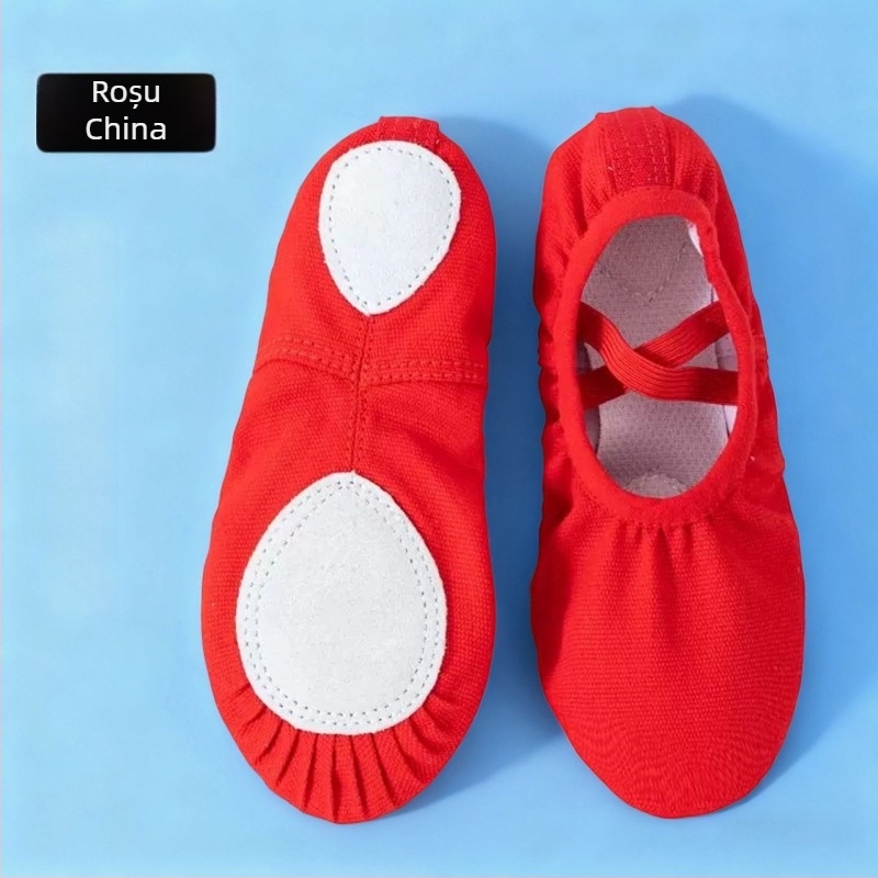 Art Dance Flower Pantofi de balet moi pentru copii - partea superioară din pânză, design în formă de labă de pisică, pentru dans de practică