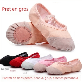 Pantofi de dans pentru copii, unisex, talpă moale, din pânză, vârf din piele
