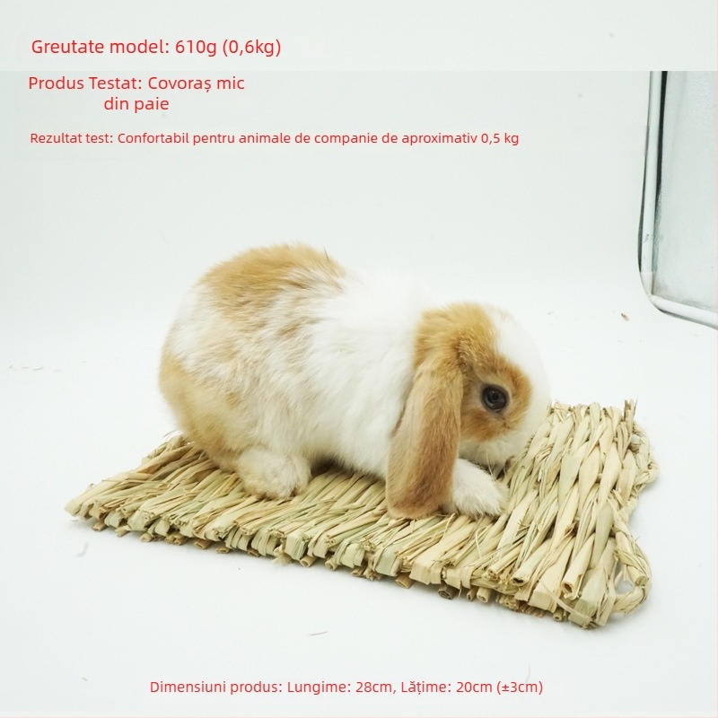 Cuib țesut manual din iarbă pentru animale de companie mici – adăpost pentru iepuri, porcușori de Guineea, chinchilla, arici – Material: floare de mătase