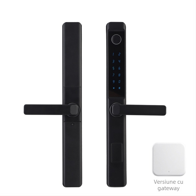 Delroy F9 Lacăt inteligent pentru uși glisante cu amprentă — construcție din aluminiu, stocare 50 amprente, peste 100000 de deblocări, scanare 0,1 s, alimentare DC