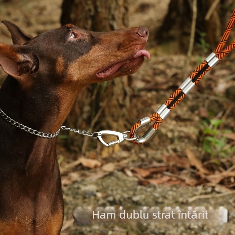 Lesă pentru câini, din nylon dublu, cu cataramă metalică, material imitatie nylon, brand Banoohawk