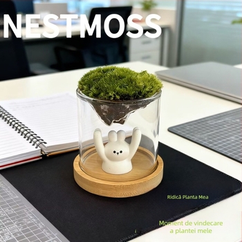 Vază din sticlă cu mini peisaj de mușchi – sticlă borosilicată, marcă Independent, decor pentru birou, cadou de afaceri