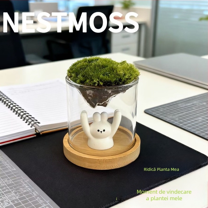 Vază din sticlă cu mini peisaj de mușchi – sticlă borosilicată, marcă Independent, decor pentru birou, cadou de afaceri