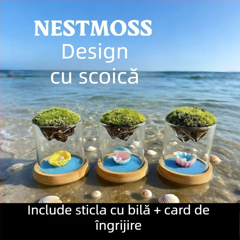 Vază din sticlă cu mini peisaj de mușchi – sticlă borosilicată, marcă Independent, decor pentru birou, cadou de afaceri