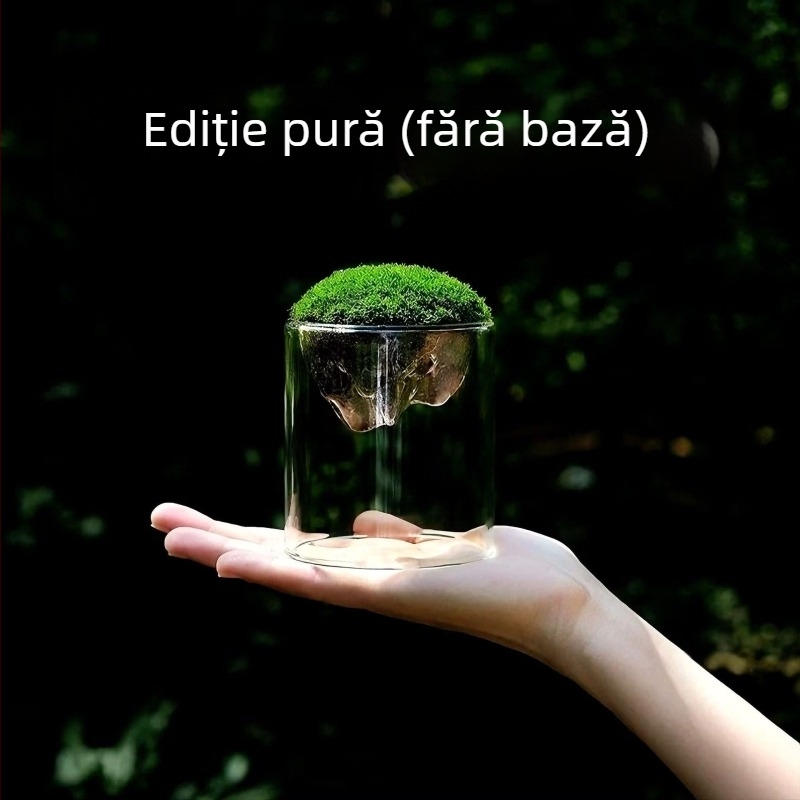 Vază din sticlă cu mini peisaj de mușchi – sticlă borosilicată, marcă Independent, decor pentru birou, cadou de afaceri
