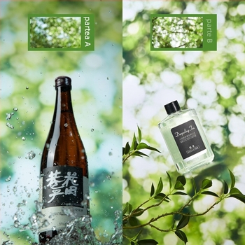 Fundal dublu față 3D cu umbră de copac din hârtie pentru fotografie de mâncare, frumusețe și machiaj cu telefonul mobil