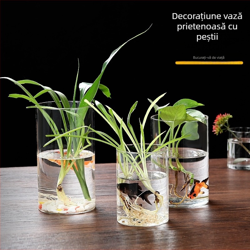 Vas din sticlă borosilicat de înaltă calitate pentru hidroponie, aranjamente florale și acvariu transparent, ambalaj carton