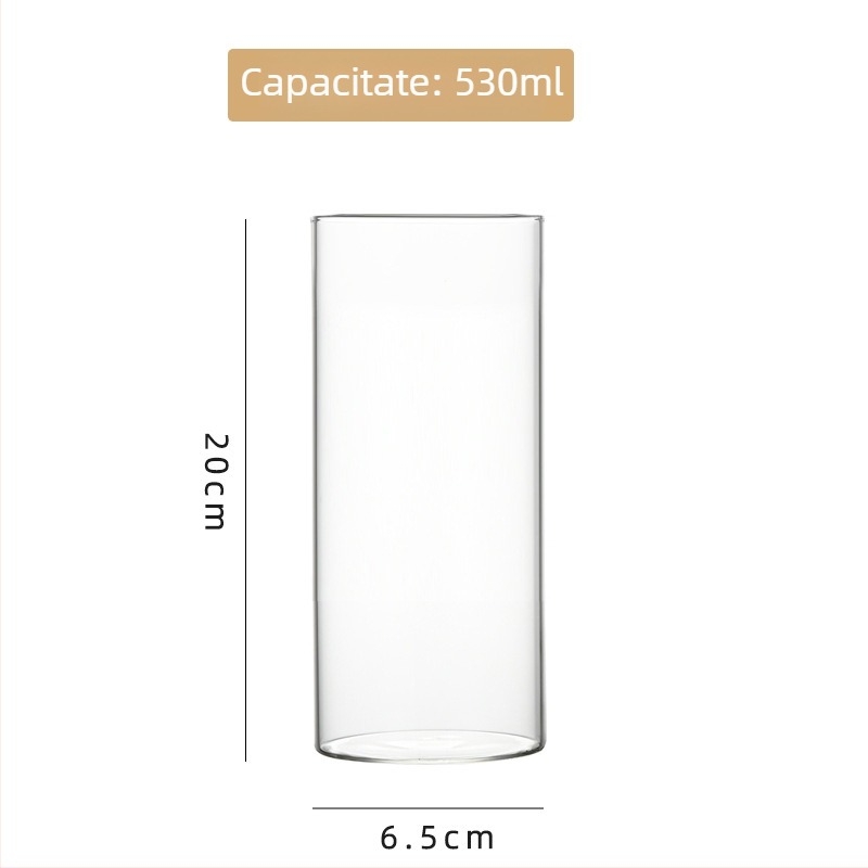 Vas din sticlă borosilicat de înaltă calitate pentru hidroponie, aranjamente florale și acvariu transparent, ambalaj carton