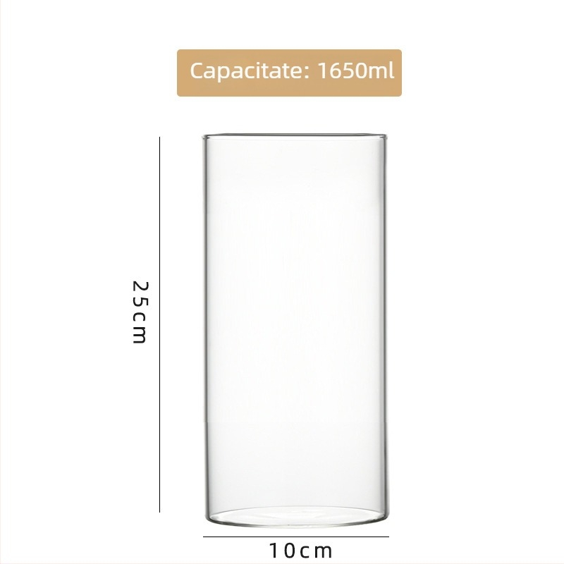 Vas din sticlă borosilicat de înaltă calitate pentru hidroponie, aranjamente florale și acvariu transparent, ambalaj carton