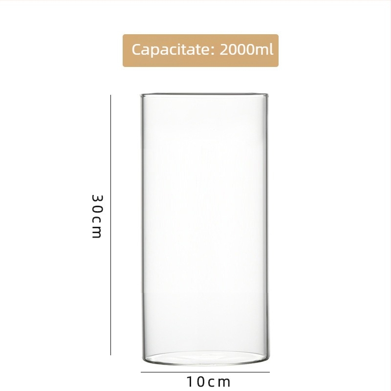 Vas din sticlă borosilicat de înaltă calitate pentru hidroponie, aranjamente florale și acvariu transparent, ambalaj carton