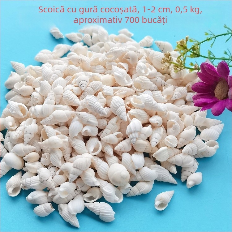 Decorațiuni pentru acvariu din scoici – scoici naturale, stil marin; confecție naturală, proces de fabricație bionic (Material: scoici; Stil: marin; Confecție: natural; Proces: bionic; Aplicabile: recuzită pentru studiouri foto, imagini pentru acvariu)