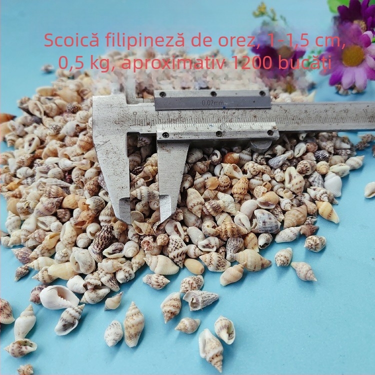 Decorațiuni pentru acvariu din scoici – scoici naturale, stil marin; confecție naturală, proces de fabricație bionic (Material: scoici; Stil: marin; Confecție: natural; Proces: bionic; Aplicabile: recuzită pentru studiouri foto, imagini pentru acvariu)