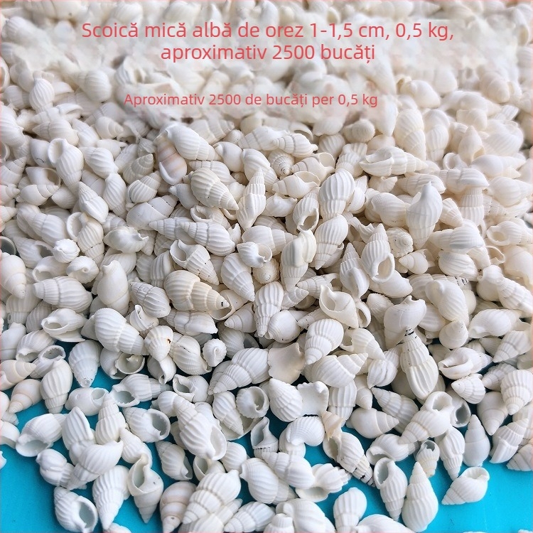 Decorațiuni pentru acvariu din scoici – scoici naturale, stil marin; confecție naturală, proces de fabricație bionic (Material: scoici; Stil: marin; Confecție: natural; Proces: bionic; Aplicabile: recuzită pentru studiouri foto, imagini pentru acvariu)