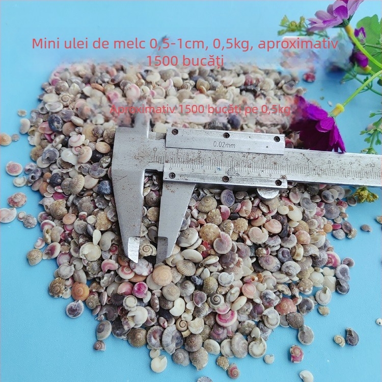 Decorațiuni pentru acvariu din scoici – scoici naturale, stil marin; confecție naturală, proces de fabricație bionic (Material: scoici; Stil: marin; Confecție: natural; Proces: bionic; Aplicabile: recuzită pentru studiouri foto, imagini pentru acvariu)