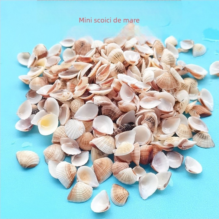 Decorațiuni pentru acvariu din scoici – scoici naturale, stil marin; confecție naturală, proces de fabricație bionic (Material: scoici; Stil: marin; Confecție: natural; Proces: bionic; Aplicabile: recuzită pentru studiouri foto, imagini pentru acvariu)