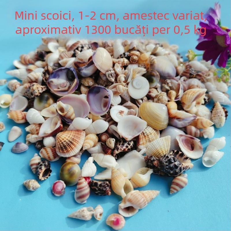 Decorațiuni pentru acvariu din scoici – scoici naturale, stil marin; confecție naturală, proces de fabricație bionic (Material: scoici; Stil: marin; Confecție: natural; Proces: bionic; Aplicabile: recuzită pentru studiouri foto, imagini pentru acvariu)