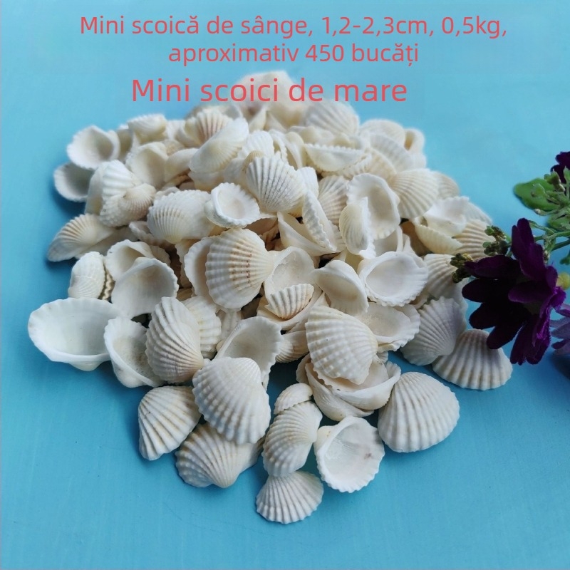 Decorațiuni pentru acvariu din scoici – scoici naturale, stil marin; confecție naturală, proces de fabricație bionic (Material: scoici; Stil: marin; Confecție: natural; Proces: bionic; Aplicabile: recuzită pentru studiouri foto, imagini pentru acvariu)