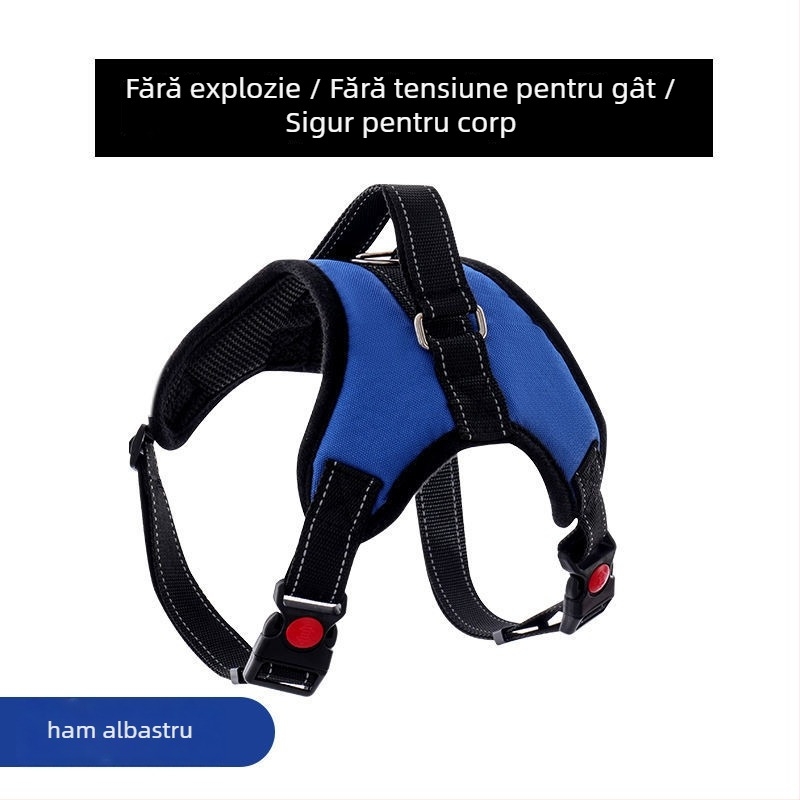 Ham pentru câini din nylon și lesă din șnur cu opt fire