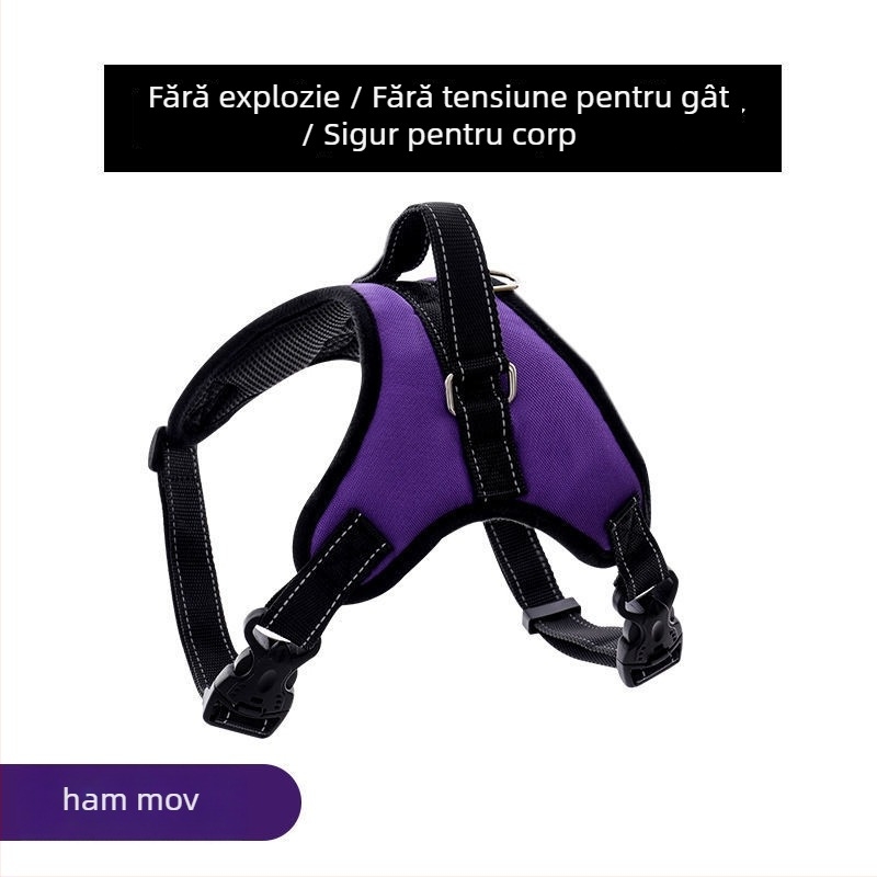 Ham pentru câini din nylon și lesă din șnur cu opt fire