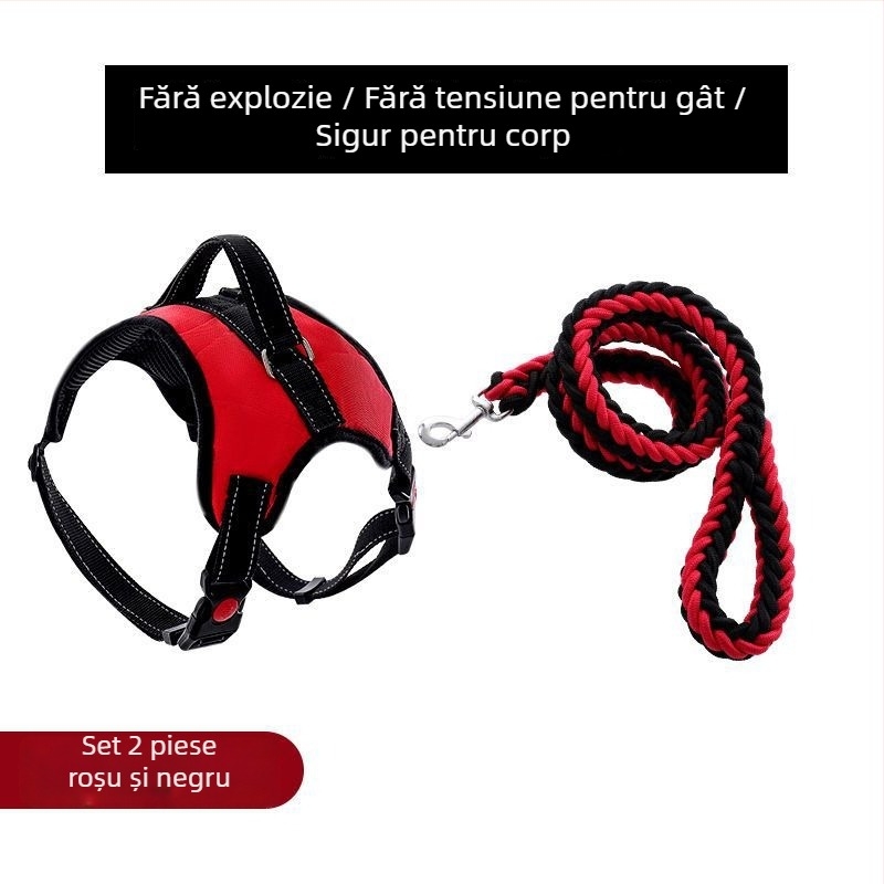 Ham pentru câini din nylon și lesă din șnur cu opt fire