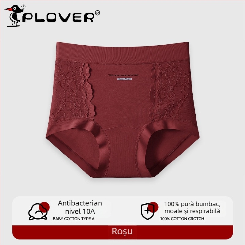 Slips din bumbac cu dantelă și jacquard, talie medie-înaltă, acoperire completă a șoldurilor, elasticitate mare