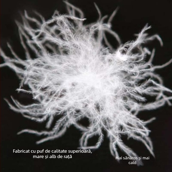 Vestă damă din puf, scurtă, slim-fit, ușoară; umplere: puf de rață alb; țesătură exterioară: poliester 100%; căptușeală: poliester; lungime: 40–50 cm; fără mâneci