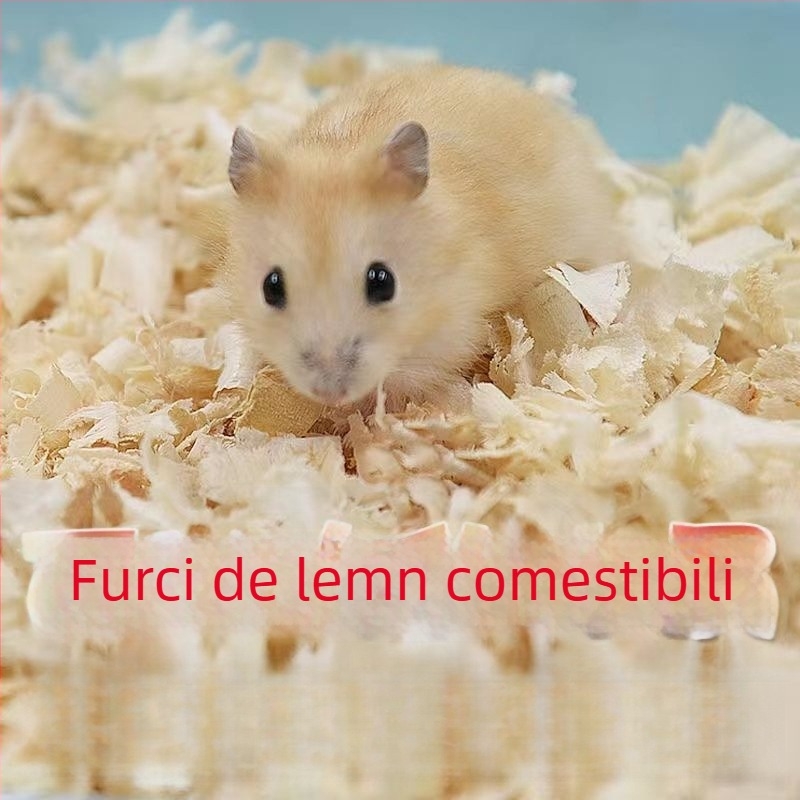 Pachet pentru hamster: Kit complet de alimente și gustări pentru începători | Hrană pentru animale de companie, Brand: Altul, Fără import