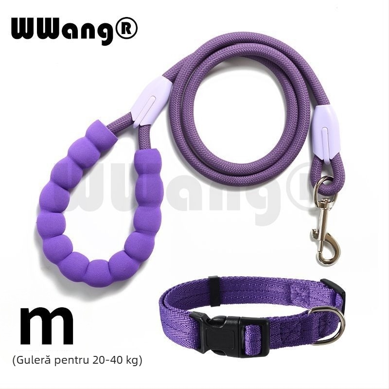 Lesă pentru câini de plimbare – nylon, retractabilă, potrivită pentru câini mici și de talie medie