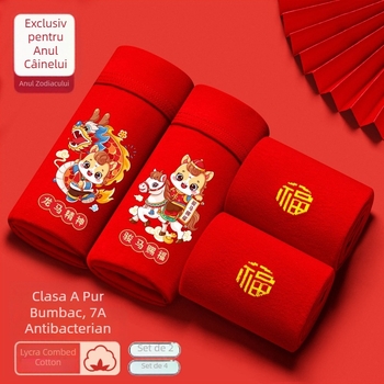 Chiloți pentru băieți, talie medie, 95% bumbac, Clasă de siguranță A, pentru copii mai mari