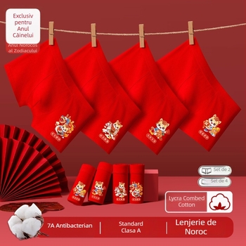 Chiloți pentru băieți, talie medie, 95% bumbac, Clasă de siguranță A, pentru copii mai mari