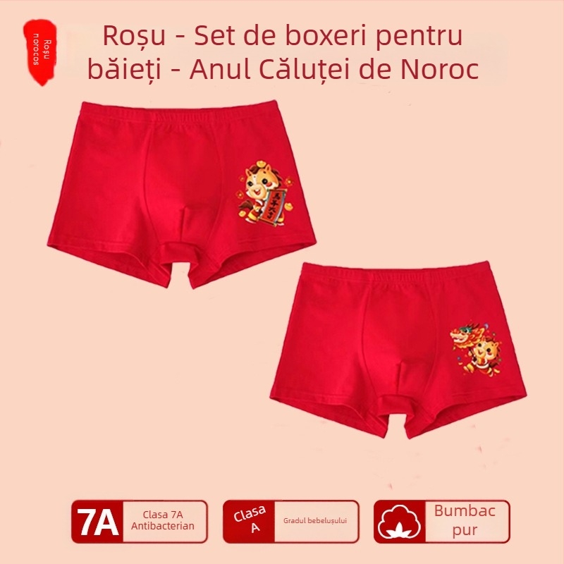 Chiloți pentru băieți, talie medie, 95% bumbac, Clasă de siguranță A, pentru copii mai mari