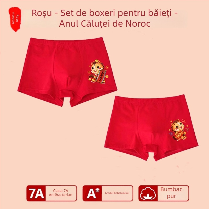 Chiloți pentru băieți, talie medie, 95% bumbac, Clasă de siguranță A, pentru copii mai mari